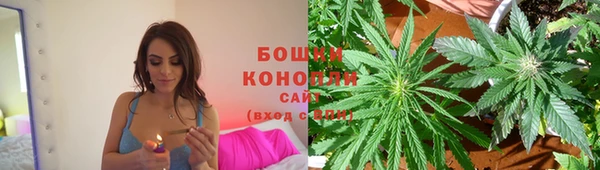 СК Няндома