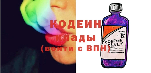 СК Няндома