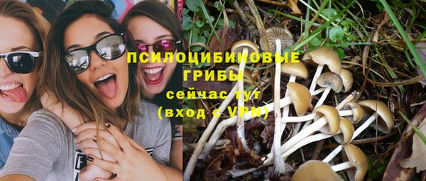 jwh Нязепетровск