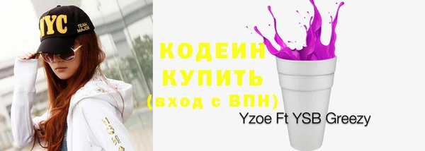 СК Няндома