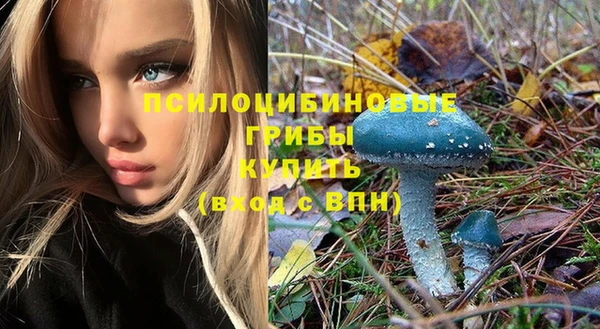 амф Абдулино
