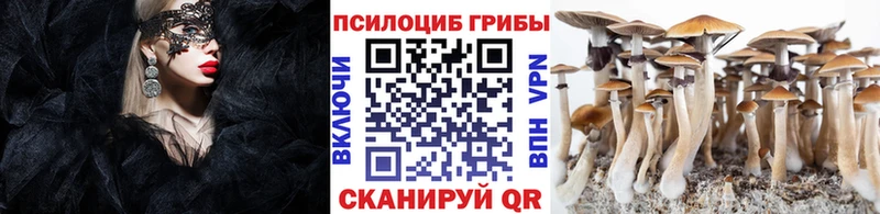 Псилоцибиновые грибы мицелий  Южа 
